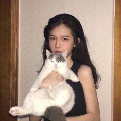 金装裁决游戏下载